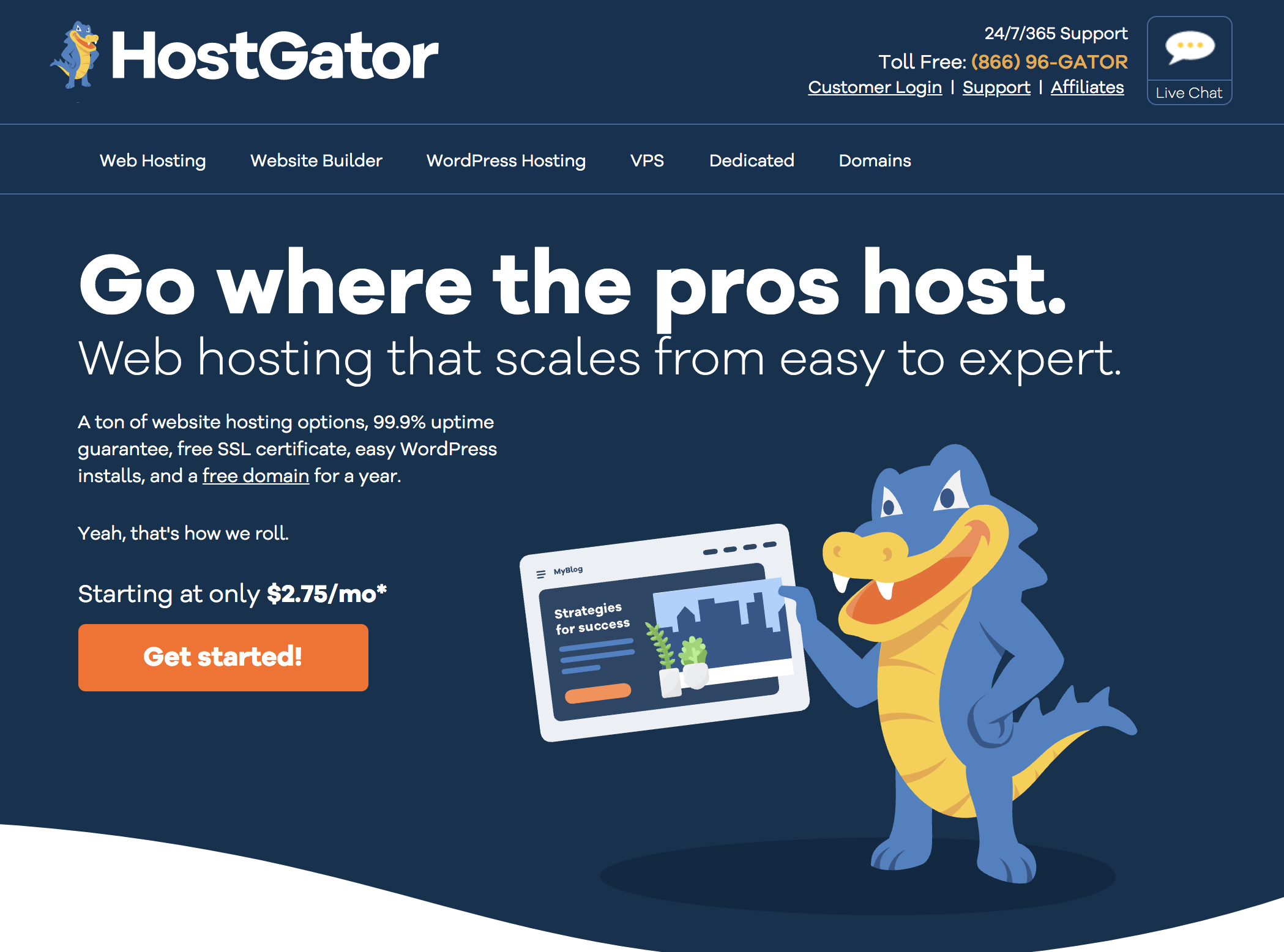  HostGator Web Hosting