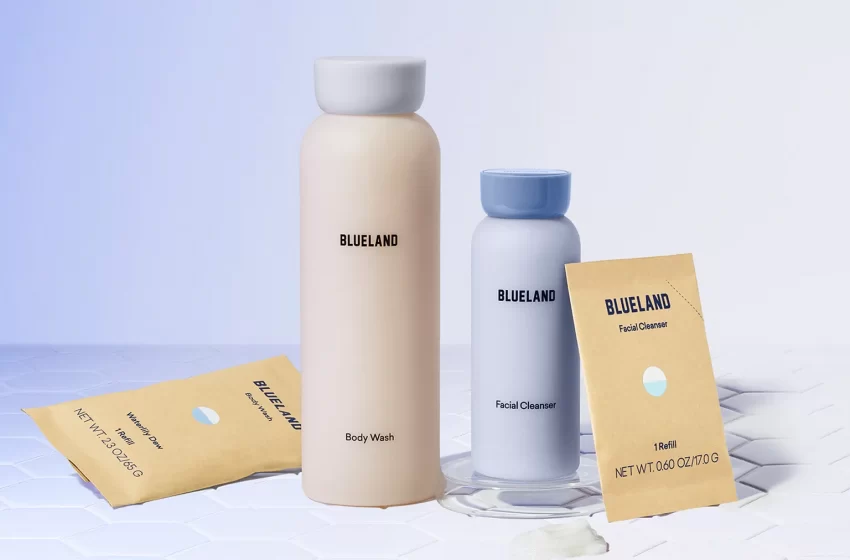  Blueland Review : Homemade Cleaning Products